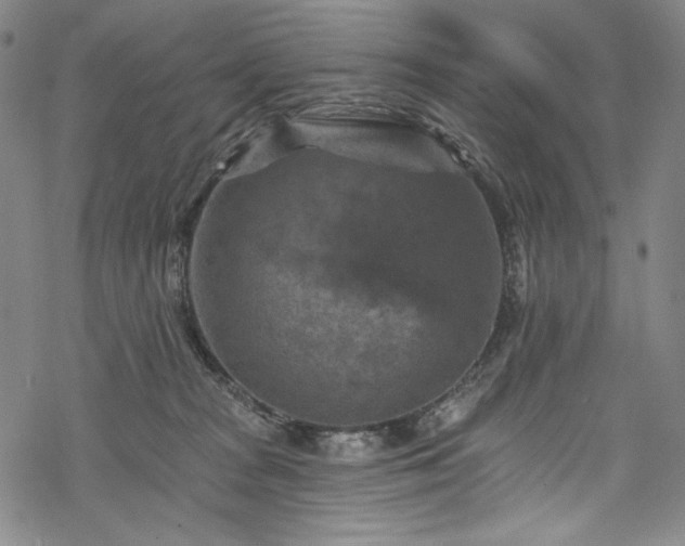 X0000068740277200605051459