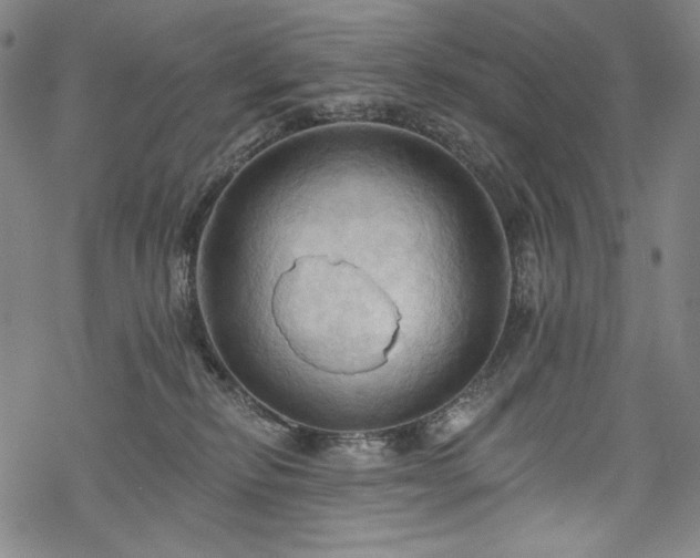 X0000068740278200605051459