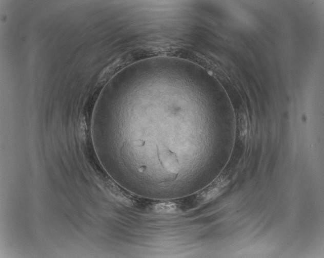 X0000068740279200605051459