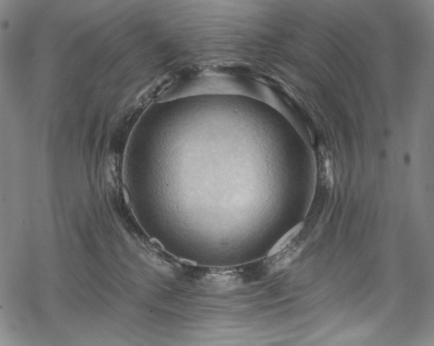 X0000068740280200605051459