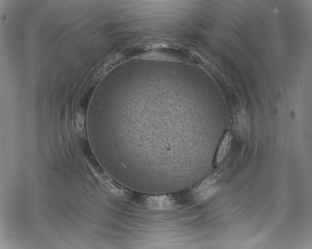 X0000068740281200605051459