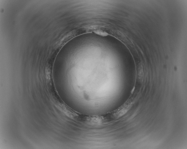 X0000068740282200605051459