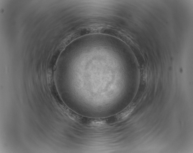 X0000068740283200605051459