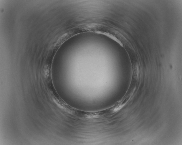 X0000068740284200605051459