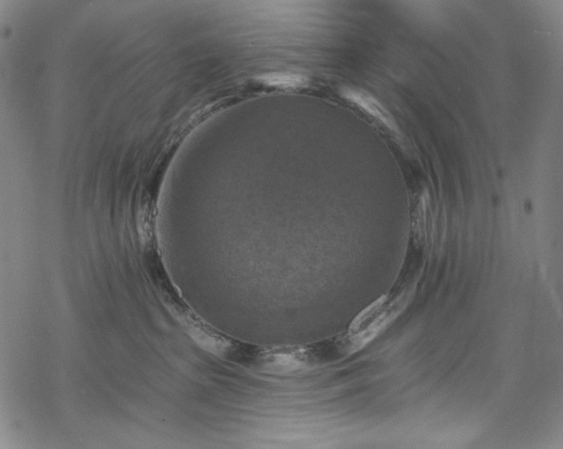 X0000068740285200605051459