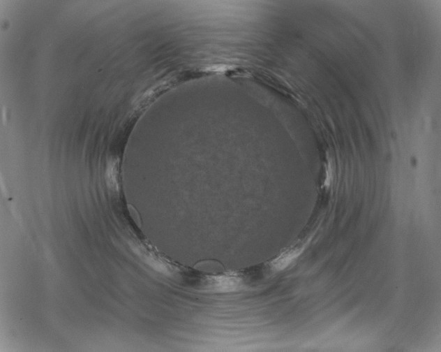 X0000068740286200605051459