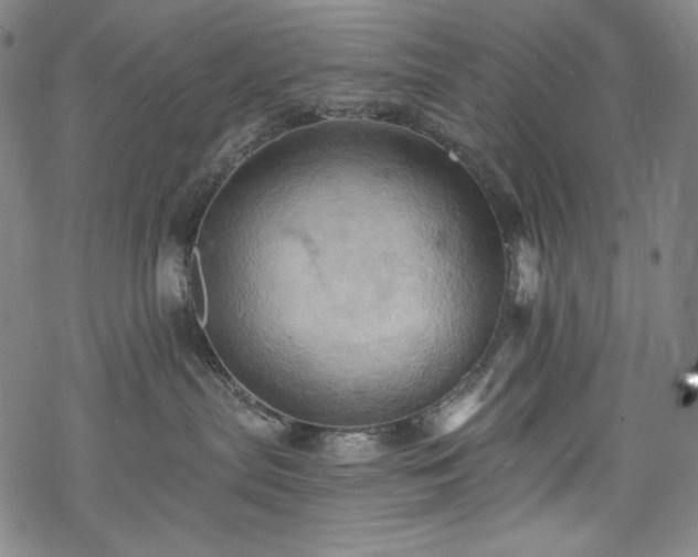 X0000068740287200605051459