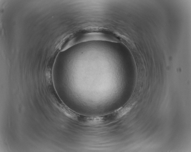 X0000068740288200605051459