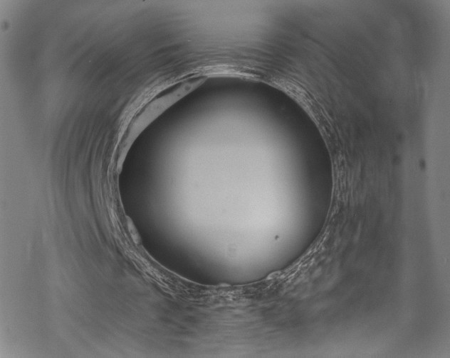 X0000068740289200605051458