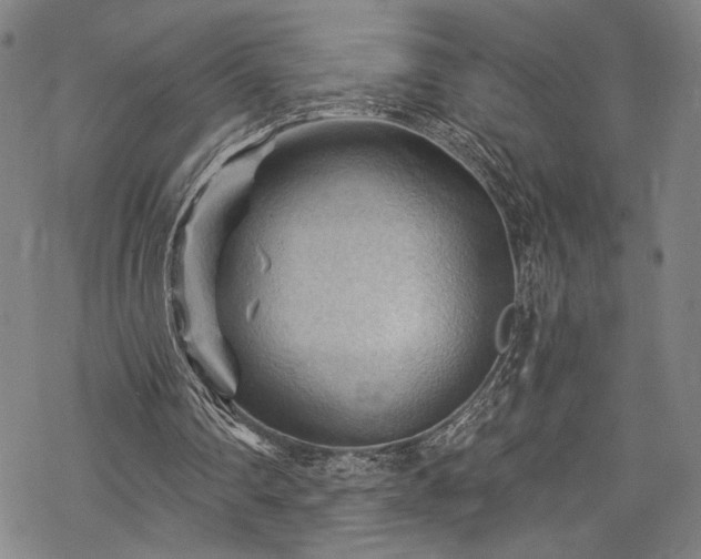 X0000068740290200605051458