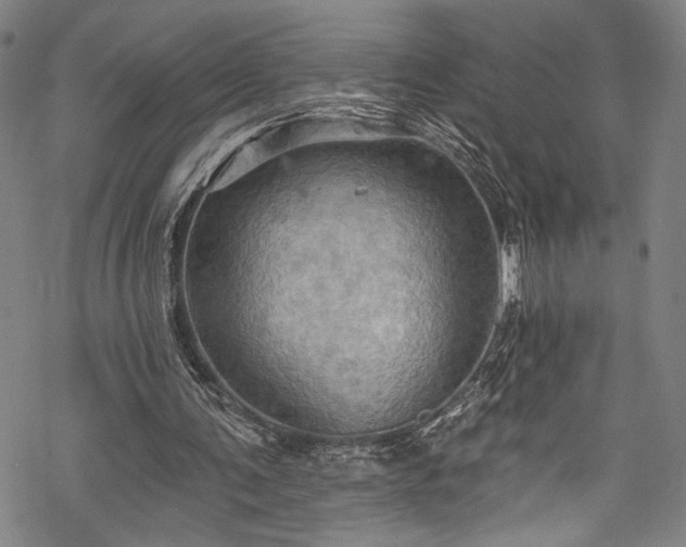 X0000068740291200605051458