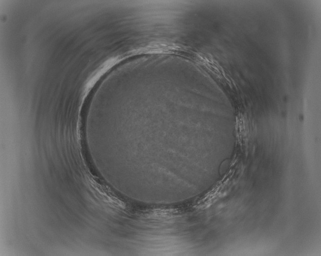 X0000068740292200605051458