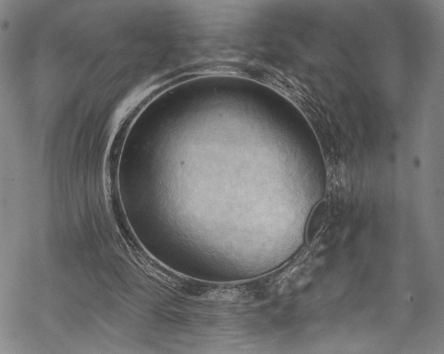 X0000068740294200605051458