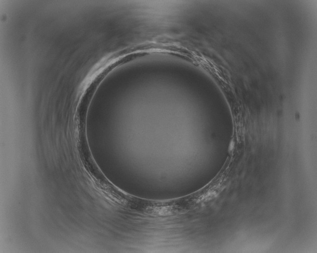 X0000068740295200605051458