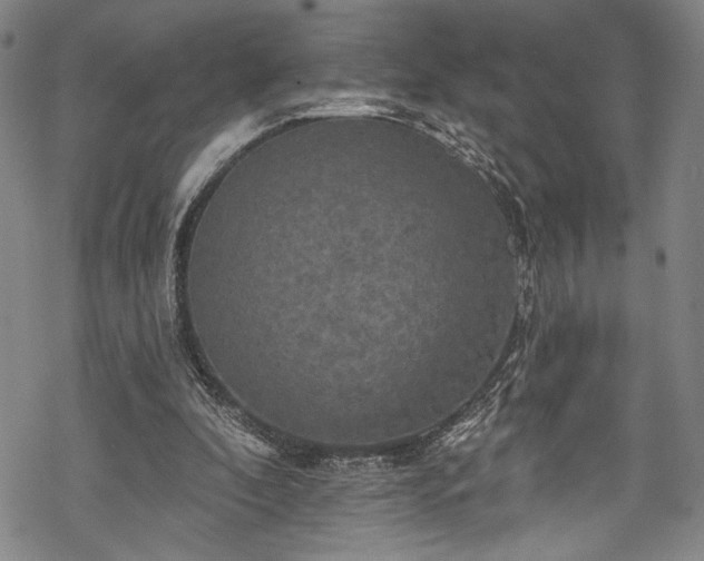 X0000068740296200605051458