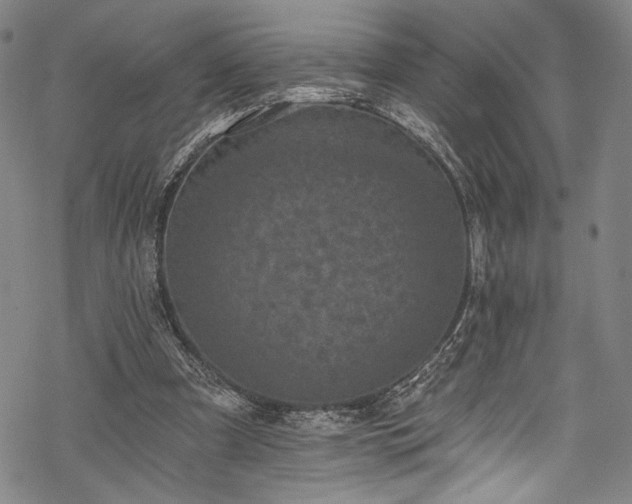 X0000068740297200605051458