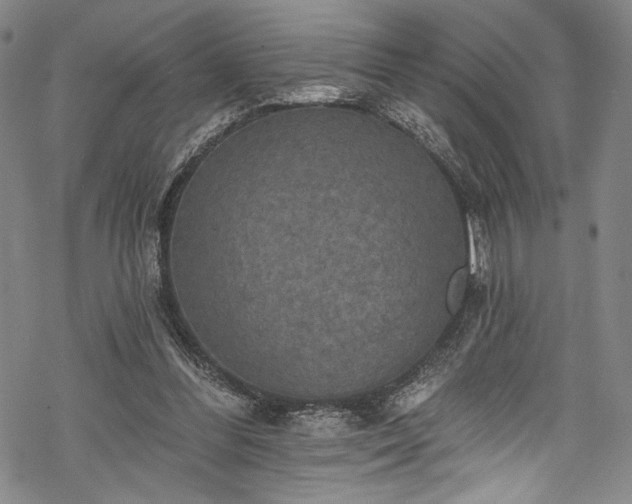 X0000068740300200605051458