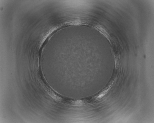 X0000068740301200605051458