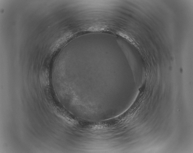 X0000068740303200605051458