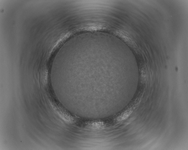 X0000068740304200605051458