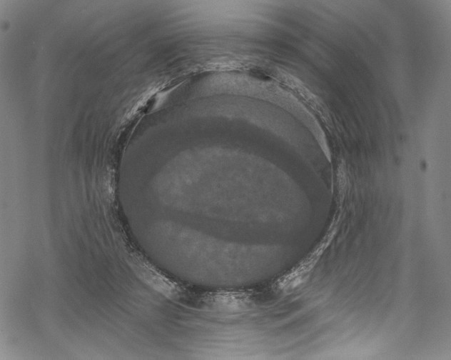 X0000068740305200605051458