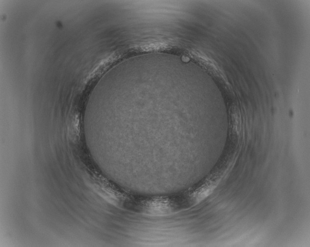 X0000068740308200605051458