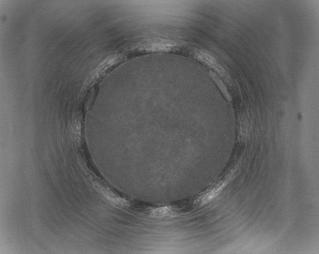 X0000068740309200605051458