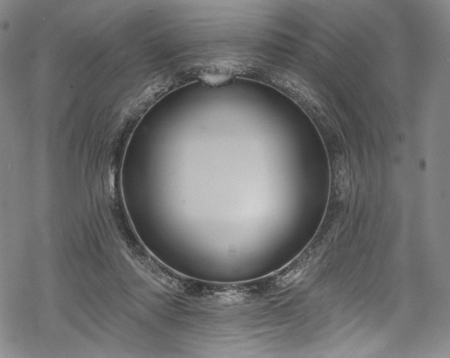 X0000068740310200605051458