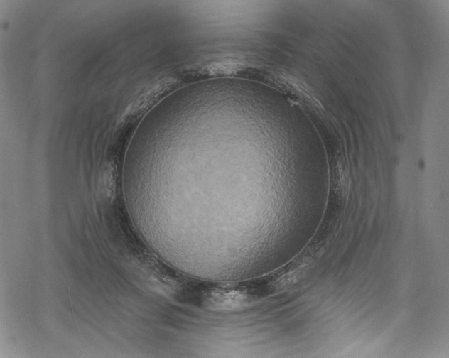 X0000068740311200605051458