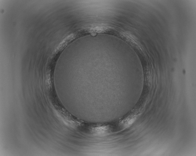 X0000068740312200605051458