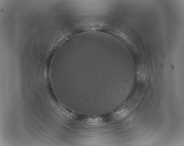 X0000068740314200605051458