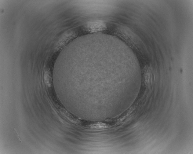 X0000068740316200605051458