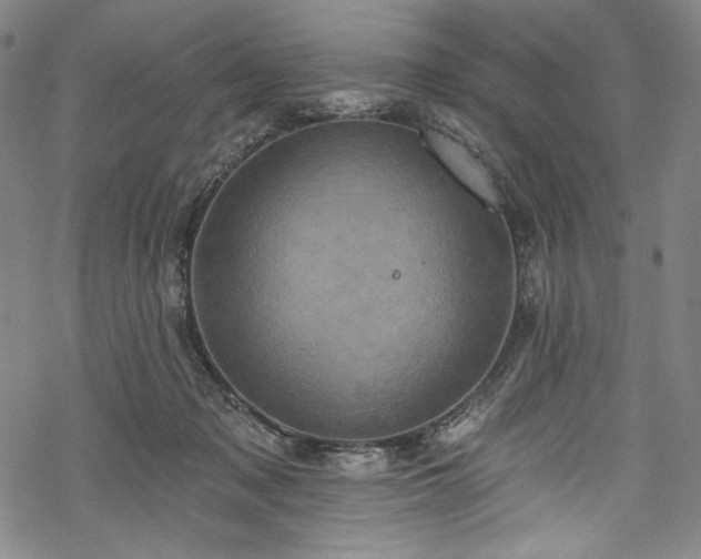 X0000068740317200605051458