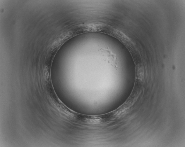 X0000068740318200605051458