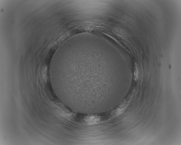 X0000068740319200605051458