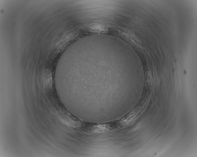 X0000068740320200605051458