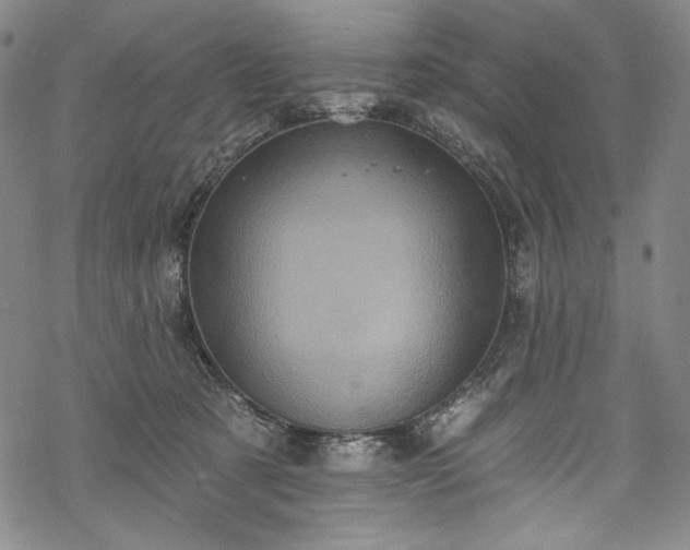 X0000068740321200605051458