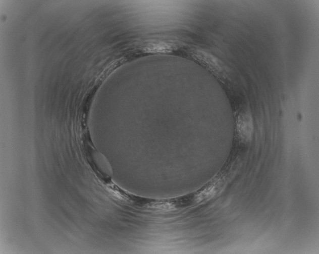 X0000068740322200605051458