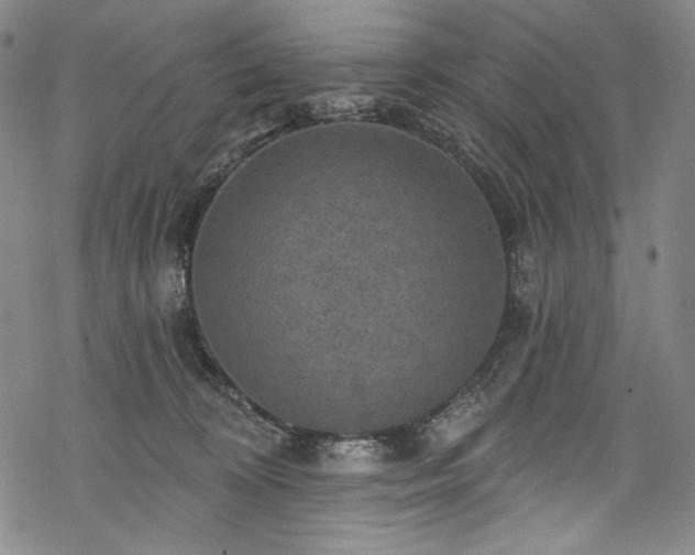 X0000068740324200605051458