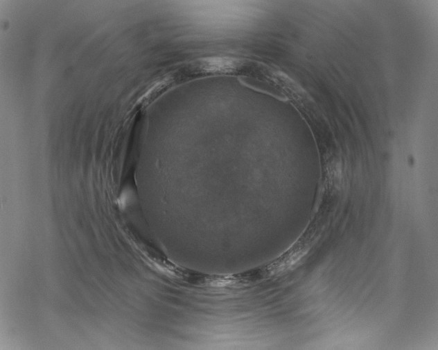 X0000068740325200605051458