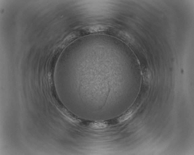 X0000068740327200605051458