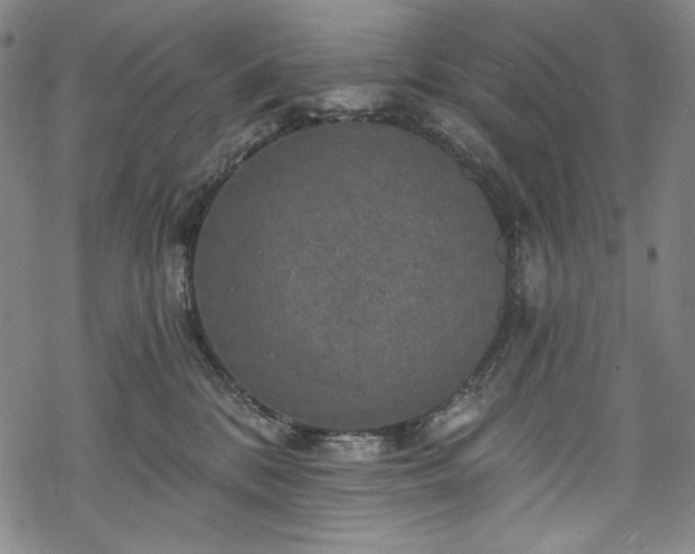 X0000068740328200605051458