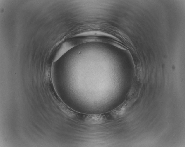 X0000068740329200605051458