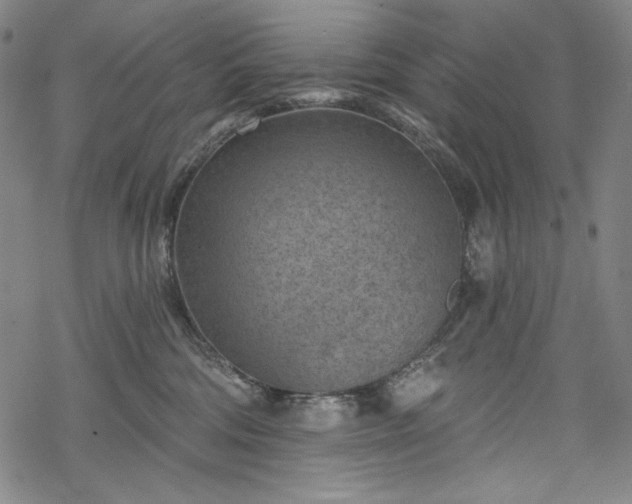 X0000068740330200605051458