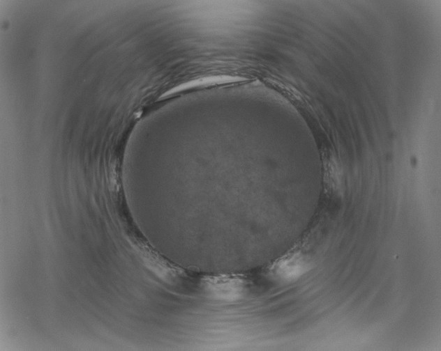 X0000068740331200605051458