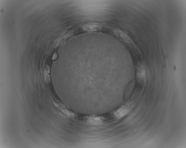 X0000068740332200605051458