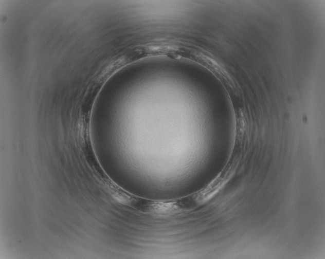 X0000068740333200605051458