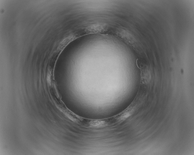 X0000068740334200605051458