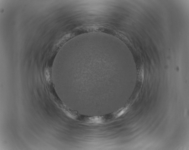 X0000068740335200605051457