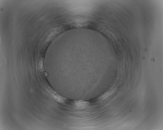 X0000068740336200605051457